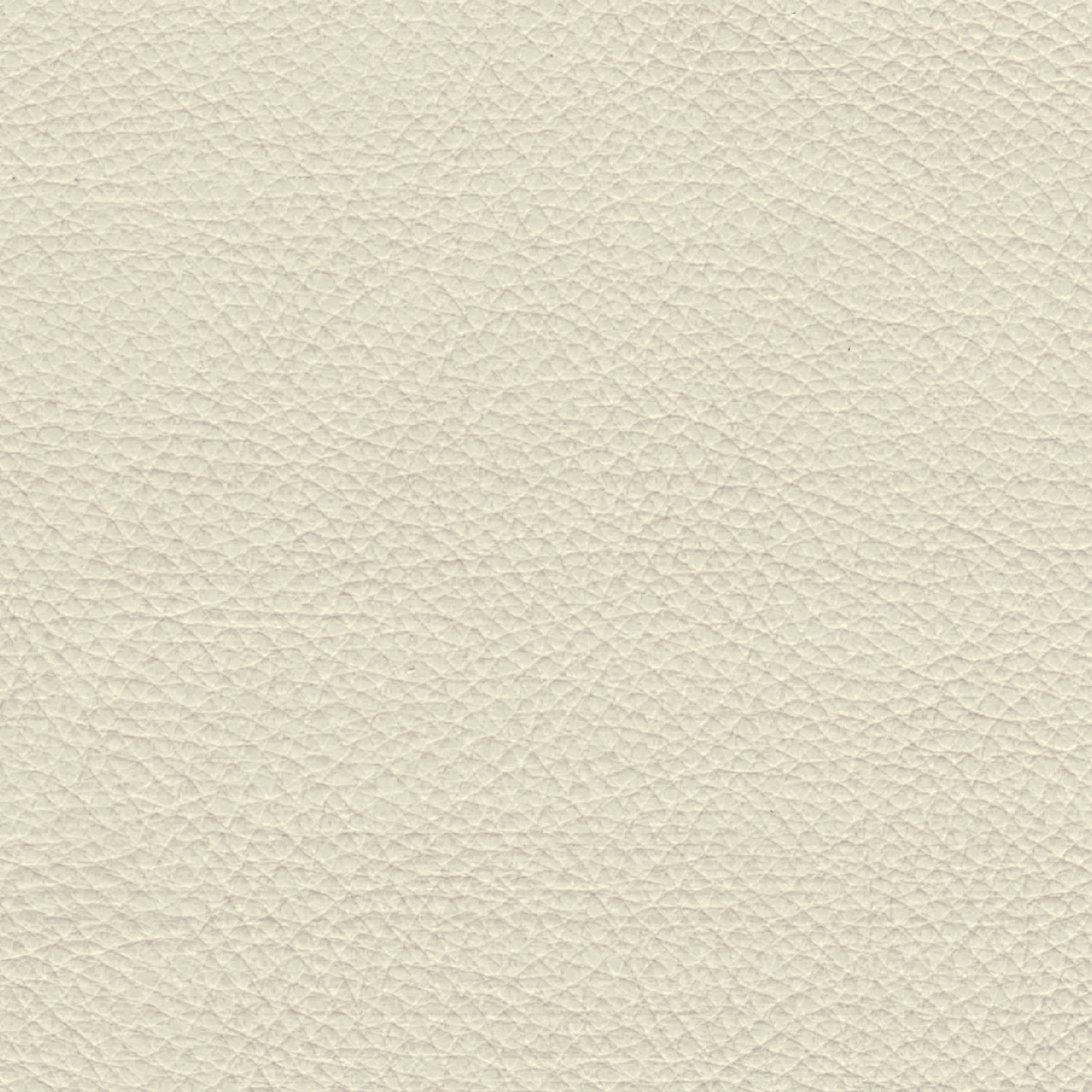  Paris | Rindleder weiß