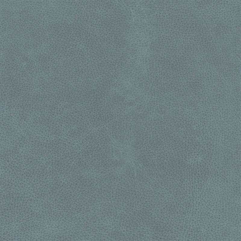  Mojave | Büffelleder blue