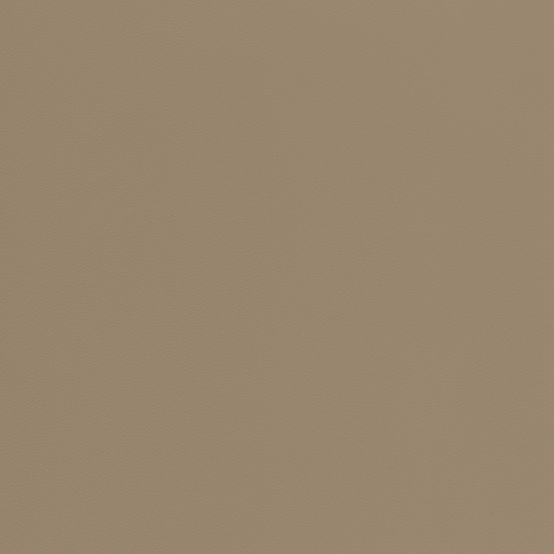  Nappa | Autoleder kaschmirbeige buckskin