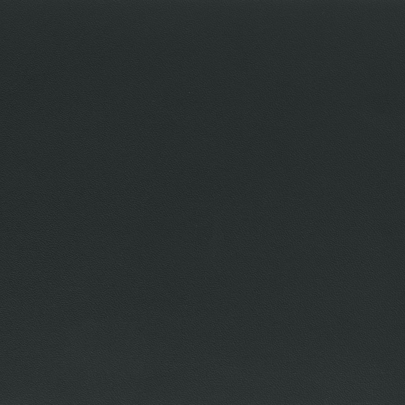  Porsche Nappa | Autoleder schwarz V2