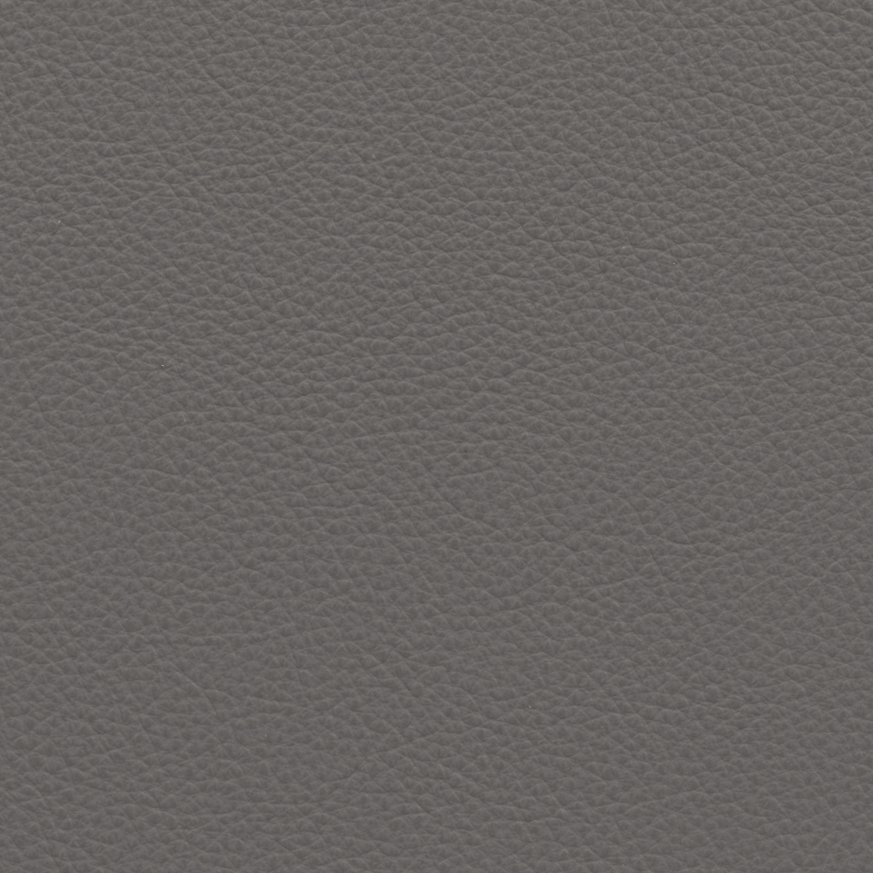  Paris | Rindleder silizium