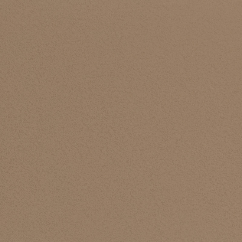  Porsche Nappa | Autoleder luxorbeige V2